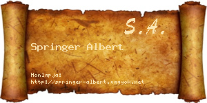 Springer Albert névjegykártya